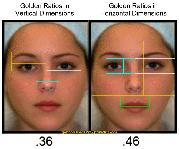 the-human-face-and-the-golden-ratio-the-golden-ratio-phi-1-618
