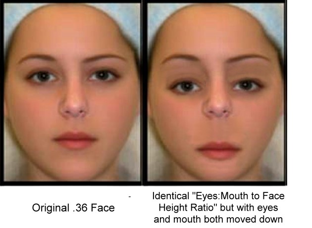 female perfect face ratio