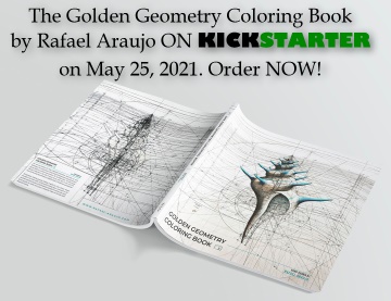 The Human Body And The Golden Ratio The Golden Ratio Phi 1 618