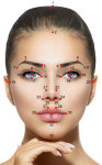 Meisner Beauty Guide for Golden Ratio Facial Analysis