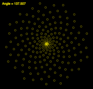 Golden Ratio Interview - December 2020 - The Golden Ratio: Phi, 1.618